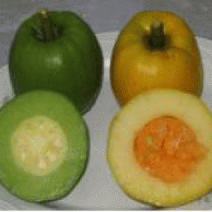 বারি তৈকর-১